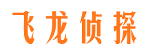 东光飞龙私家侦探公司